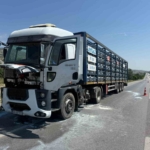 afyonkarahisarda-aygaz-marka-tup-yuklu-tirin-motorunda-yangin-1CxBZNVU.jpg