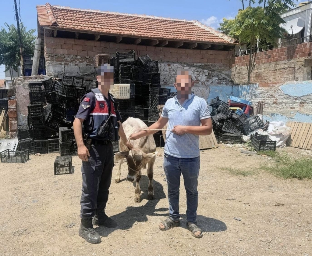 featured