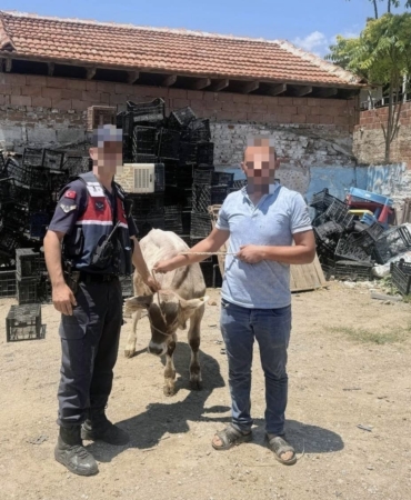 ahirdan-calinan-buyukbas-hayvan-bulundu-wjEqr4xy.jpg