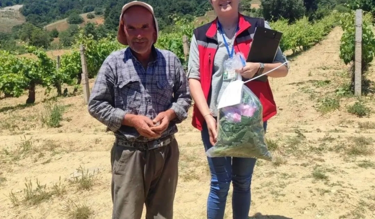 akhisarda-hasat-oncesi-yaprak-denetimi-Tz24pcXm.jpg