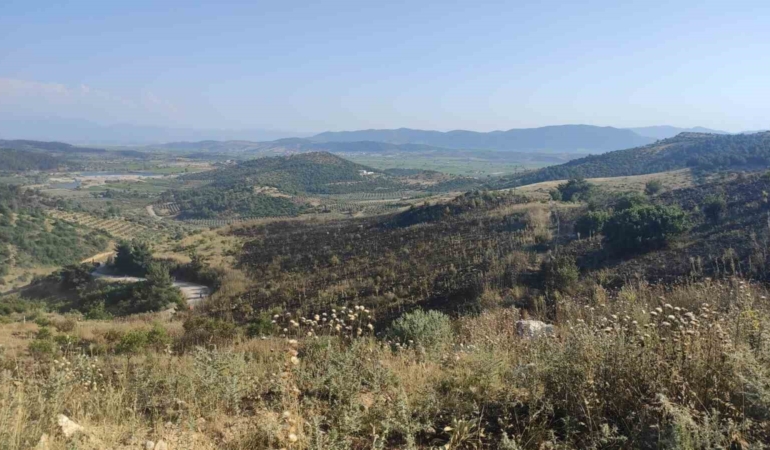 akhisarda-korkutan-orman-yangini-ZwYSgkOp.jpg