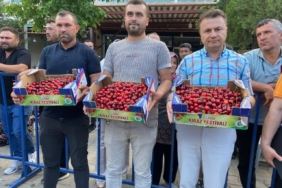 alasehirin-en-guzel-kirazi-secildi-eKlNjAQu.jpg