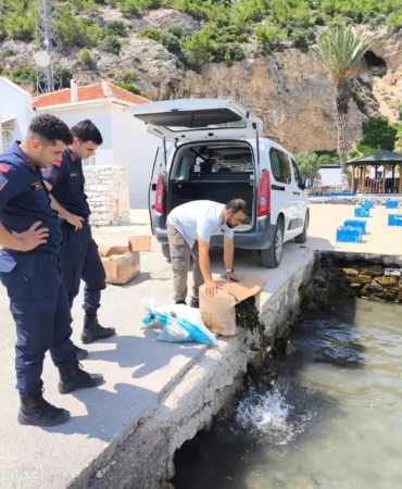 aydinda-60-kilo-canli-yengec-ele-gecirildi-6FzTY9pH.jpg