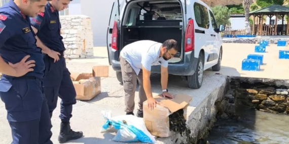 aydinda-60-kilo-canli-yengec-ele-gecirildi-6FzTY9pH.jpg