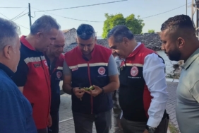 aydinda-ilekleme-sezonu-yakindan-takip-ediliyor-G4ZcXXDQ.jpg