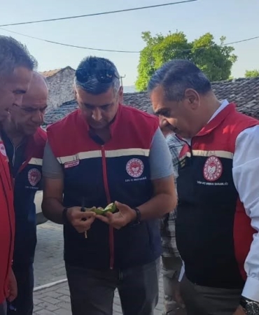 aydinda-ilekleme-sezonu-yakindan-takip-ediliyor-G4ZcXXDQ.jpg
