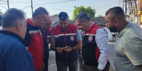 aydinda-ilekleme-sezonu-yakindan-takip-ediliyor-G4ZcXXDQ.jpg