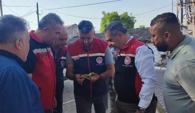 aydinda-ilekleme-sezonu-yakindan-takip-ediliyor-G4ZcXXDQ.jpg