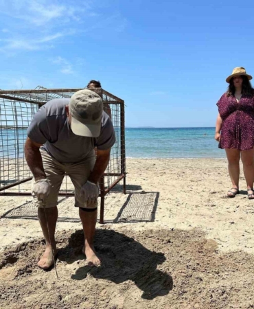 aydinda-yilin-ilk-caretta-caretta-yuvasi-tespit-edildi-ucjbmz6h.jpg