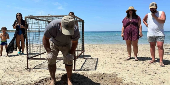 aydinda-yilin-ilk-caretta-caretta-yuvasi-tespit-edildi-ucjbmz6h.jpg