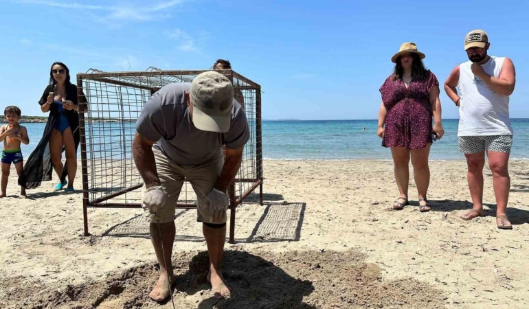 aydinda-yilin-ilk-caretta-caretta-yuvasi-tespit-edildi-ucjbmz6h.jpg