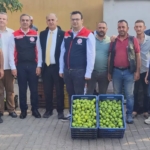 aydinin-dunya-markasi-inciri-icin-sahada-yogun-mesai-FsjZQZMs.jpg