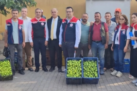 aydinin-dunya-markasi-inciri-icin-sahada-yogun-mesai-FsjZQZMs.jpg