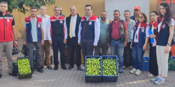 aydinin-dunya-markasi-inciri-icin-sahada-yogun-mesai-FsjZQZMs.jpg