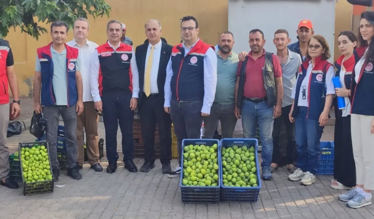 aydinin-dunya-markasi-inciri-icin-sahada-yogun-mesai-FsjZQZMs.jpg
