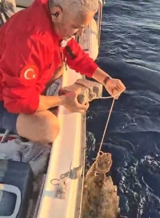 boyle-vicdansizlik-gorulmedi-deniz-kaplumbagasinin-ayagina-kaldirim-tasi-baglamislar-OWV1pB89.jpg