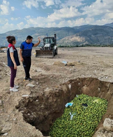 bozdoganda-hastalikli-ilekler-imha-edildi-mZ6r3LAg.jpg