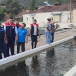 bozdoganda-su-urunleri-uretimi-3-bin-696-tona-ulasti-3WVGZRt7.jpg