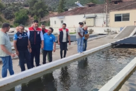 bozdoganda-su-urunleri-uretimi-3-bin-696-tona-ulasti-3WVGZRt7.jpg