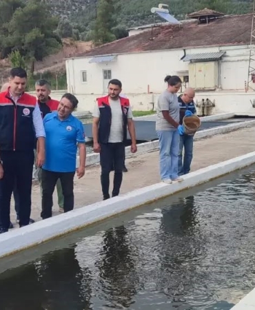 bozdoganda-su-urunleri-uretimi-3-bin-696-tona-ulasti-3WVGZRt7.jpg