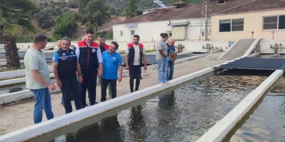 bozdoganda-su-urunleri-uretimi-3-bin-696-tona-ulasti-3WVGZRt7.jpg