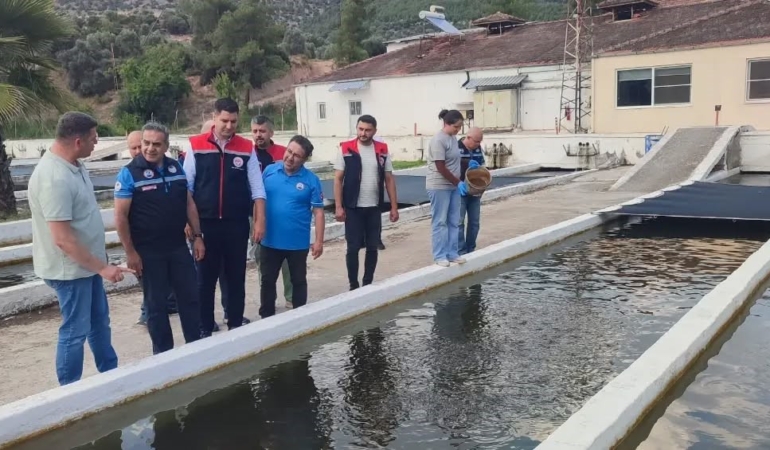 bozdoganda-su-urunleri-uretimi-3-bin-696-tona-ulasti-3WVGZRt7.jpg
