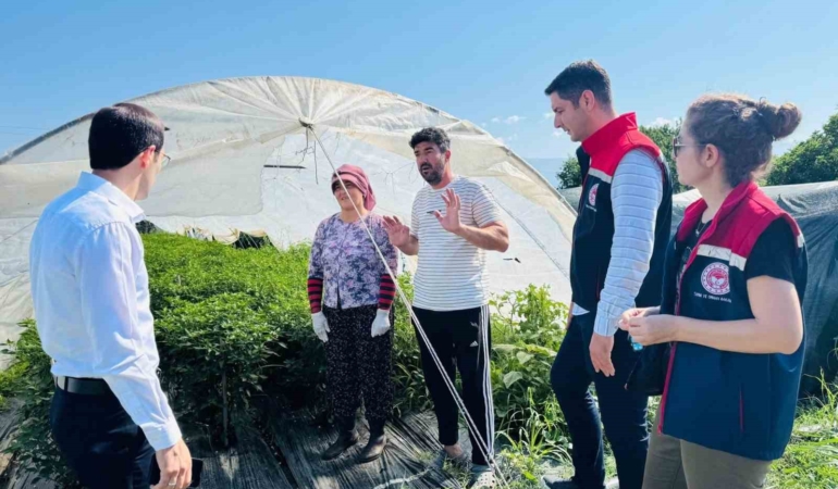 bozdoganda-tarimsal-uretim-sahada-degerlendirildi-WGAPbIl4.jpg