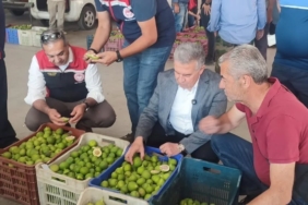 buharkentte-ilekler-tezgahta-incelendi-T229k3We.jpg