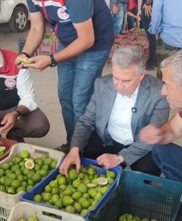 buharkentte-ilekler-tezgahta-incelendi-T229k3We.jpg