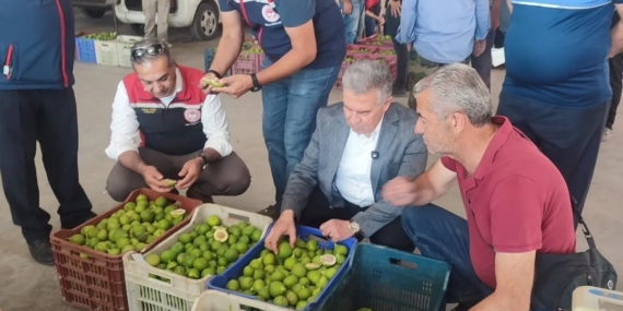 buharkentte-ilekler-tezgahta-incelendi-T229k3We.jpg
