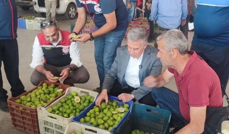 buharkentte-ilekler-tezgahta-incelendi-T229k3We.jpg