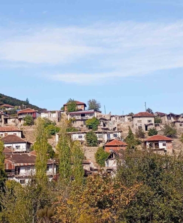 dagmarmara-kultur-koyune-donusturulecek-4uOy3iRq.jpg