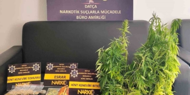 datcada-uyusturucu-operasyonu-200-kok-hint-keneviri-ele-gecirildi-1-tutuklama-2TVXTJeT.jpg