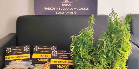 datcada-uyusturucu-operasyonu-200-kok-hint-keneviri-ele-gecirildi-1-tutuklama-2TVXTJeT.jpg