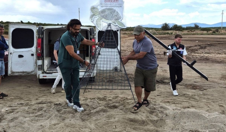 didim-belediyesi-ekiplerinin-dikkati-carettayi-cakallardan-korudu-kxpGTP1H.jpg