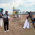 didim-belediyesi-ekiplerinin-zamaninda-mudahalesi-caretta-carettayi-kurtardi-ZcTfZfml.jpg