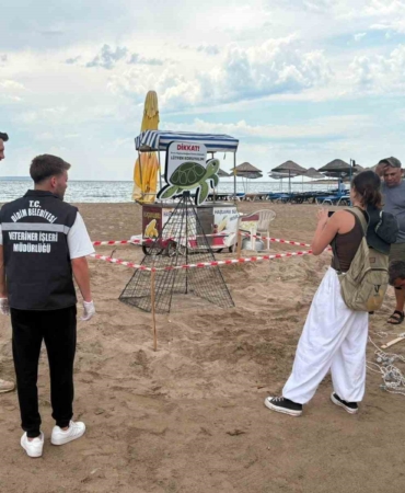 didim-belediyesi-ekiplerinin-zamaninda-mudahalesi-caretta-carettayi-kurtardi-ZcTfZfml.jpg