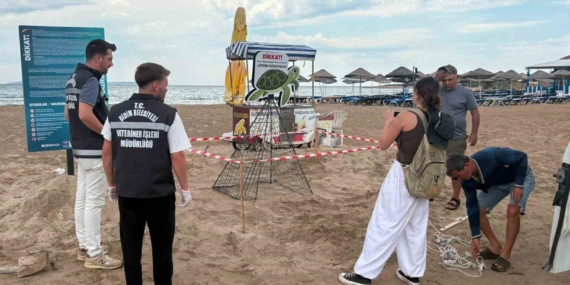didim-belediyesi-ekiplerinin-zamaninda-mudahalesi-caretta-carettayi-kurtardi-ZcTfZfml.jpg