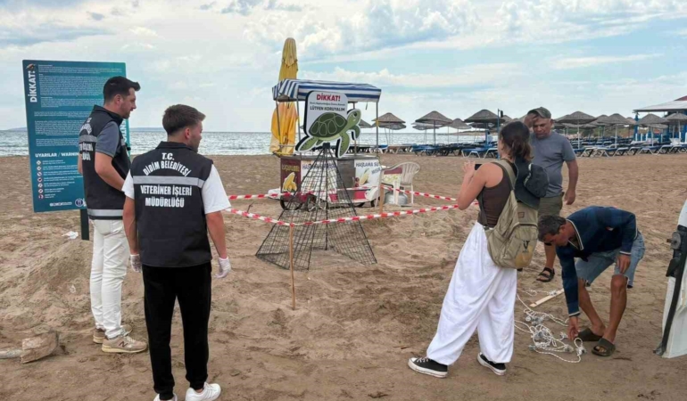 didim-belediyesi-ekiplerinin-zamaninda-mudahalesi-caretta-carettayi-kurtardi-ZcTfZfml.jpg