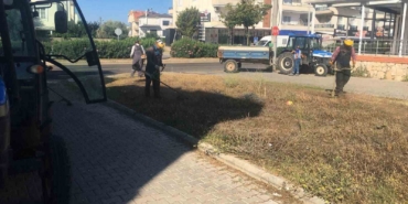 didim-belediyesi-yesil-alanlarda-bakim-calismalarini-surduruyor-UumTZE4e.jpg