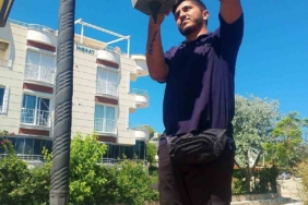 didim-belediyesinden-parklarda-bakim-ve-yenileme-calismasi-Gy3g2xGF.jpg