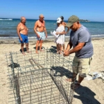 didimde-ikinci-caretta-yuvasi-koruma-altina-alindi-h8JJeO9H.jpg