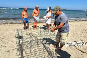 didimde-ikinci-caretta-yuvasi-koruma-altina-alindi-h8JJeO9H.jpg