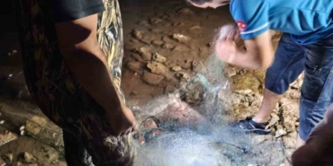 didimde-sahipsiz-balik-aglarina-el-konuldu-fXK66rsO.jpg