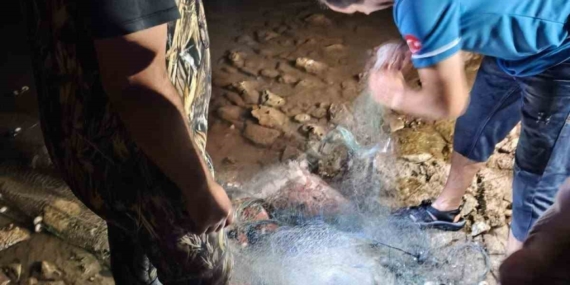 didimde-sahipsiz-balik-aglarina-el-konuldu-fXK66rsO.jpg