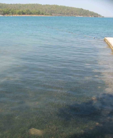 didimin-deniz-suyu-kalitesi-dikkat-cekti-zMpgacRu.jpg