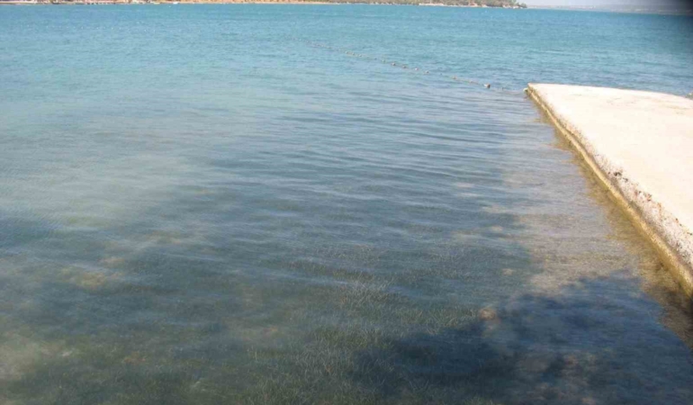 didimin-deniz-suyu-kalitesi-dikkat-cekti-zMpgacRu.jpg