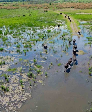 eber-golunde-olusan-manzara-serengeti-parkini-aratmadi-qqc4BJ3s.jpg