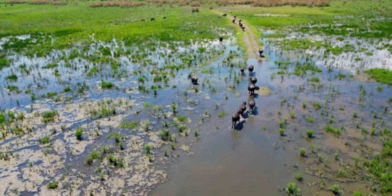 eber-golunde-olusan-manzara-serengeti-parkini-aratmadi-qqc4BJ3s.jpg