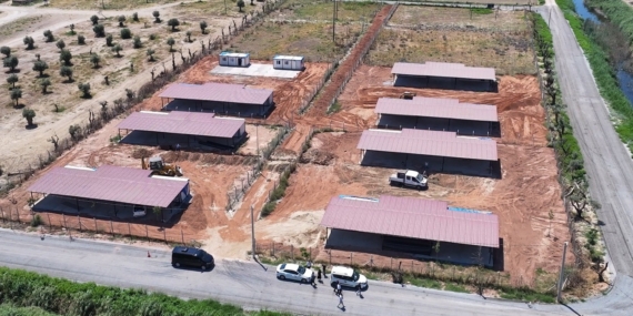 efeler-belediyesinden-sokak-hayvanlari-icin-yeni-yasam-alani-iswmFzjD.jpg